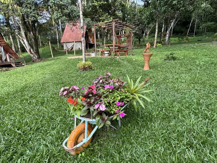 Jardim florido com vista do chalé